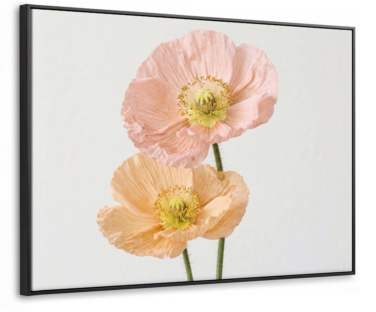Canvas Schilderij met Baklijst 80x60cm - Papavers - Botanisch - Roze - Muurdecoratie woonkamer - Slaapkamer decoratie - Kamer accessoires - Schilderijen op canvas met lijst