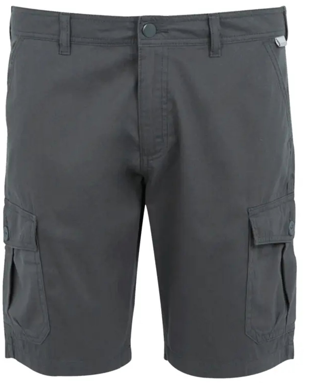 Casual shorts Regatta Grijs