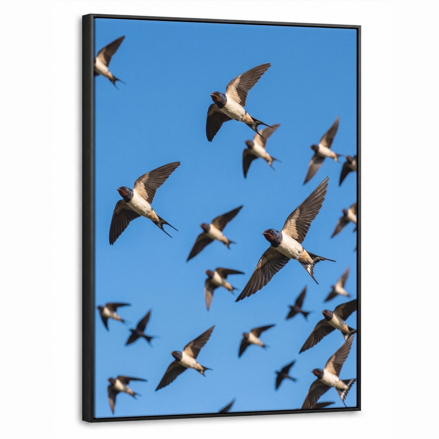 Canvas Schilderij met Baklijst 70x100cm - Zwaluwen - Vliegen - Blauw - Muurdecoratie woonkamer - Slaapkamer decoratie - Kamer accessoires - Schilderijen op canvas met lijst
