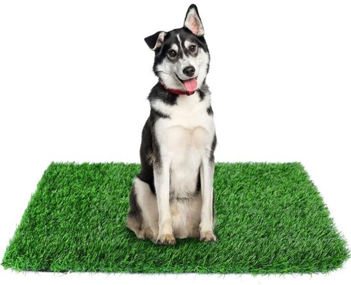 Draagbaar Kunstgras Toilet voor Honden en Puppy s Potjestraining Binnen Buiten
