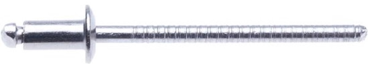 Blindklinknagels Roestvrij Staal - Popnagels Metaal - Metaal Bevestigen - A2 Roestvrij Staal - 3.2x6mm 100 stuks - Zilverkleurig