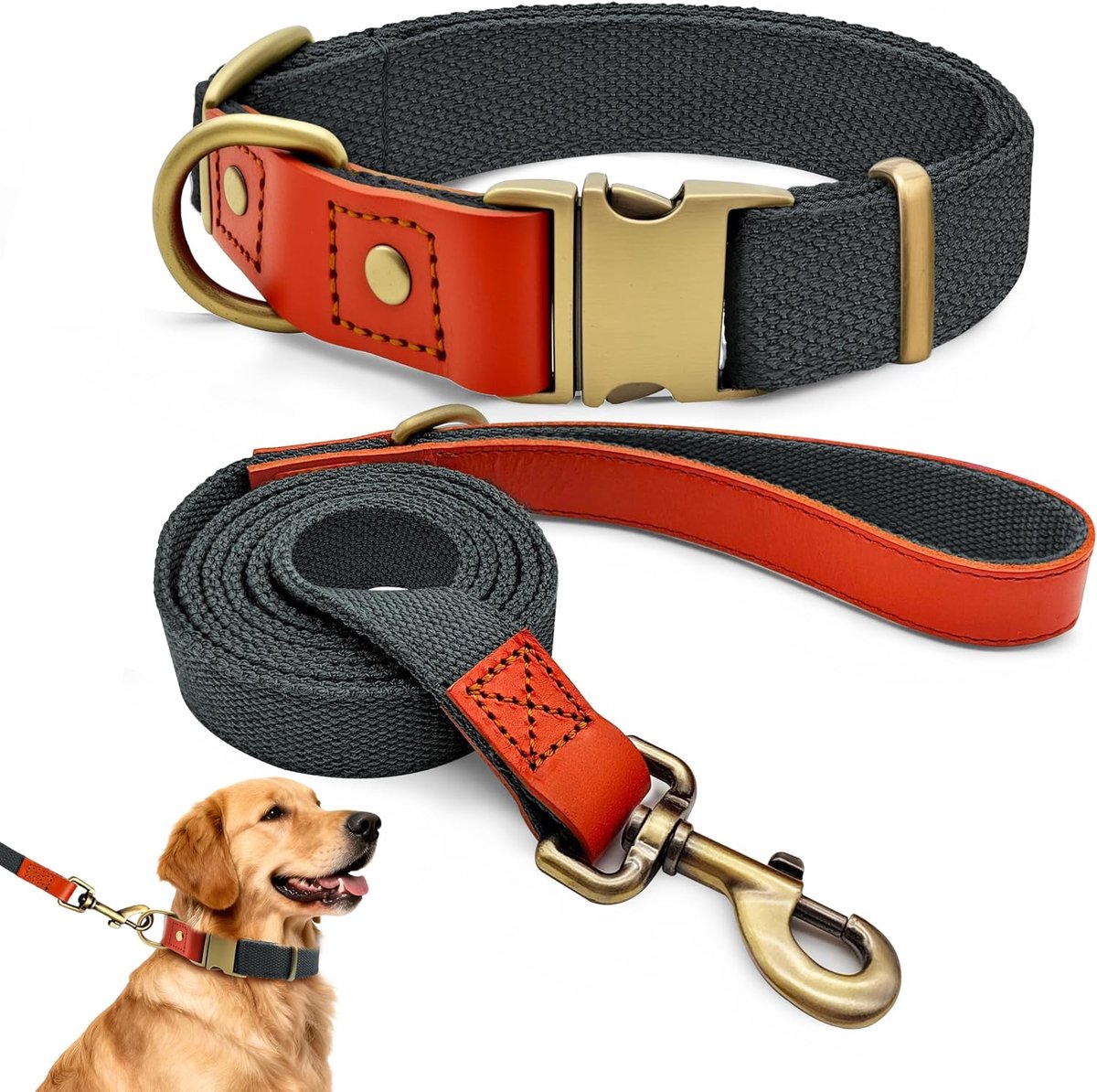 Set met halsband en riem XL 43–67 cm, leer met nylon (blauw-zwart)