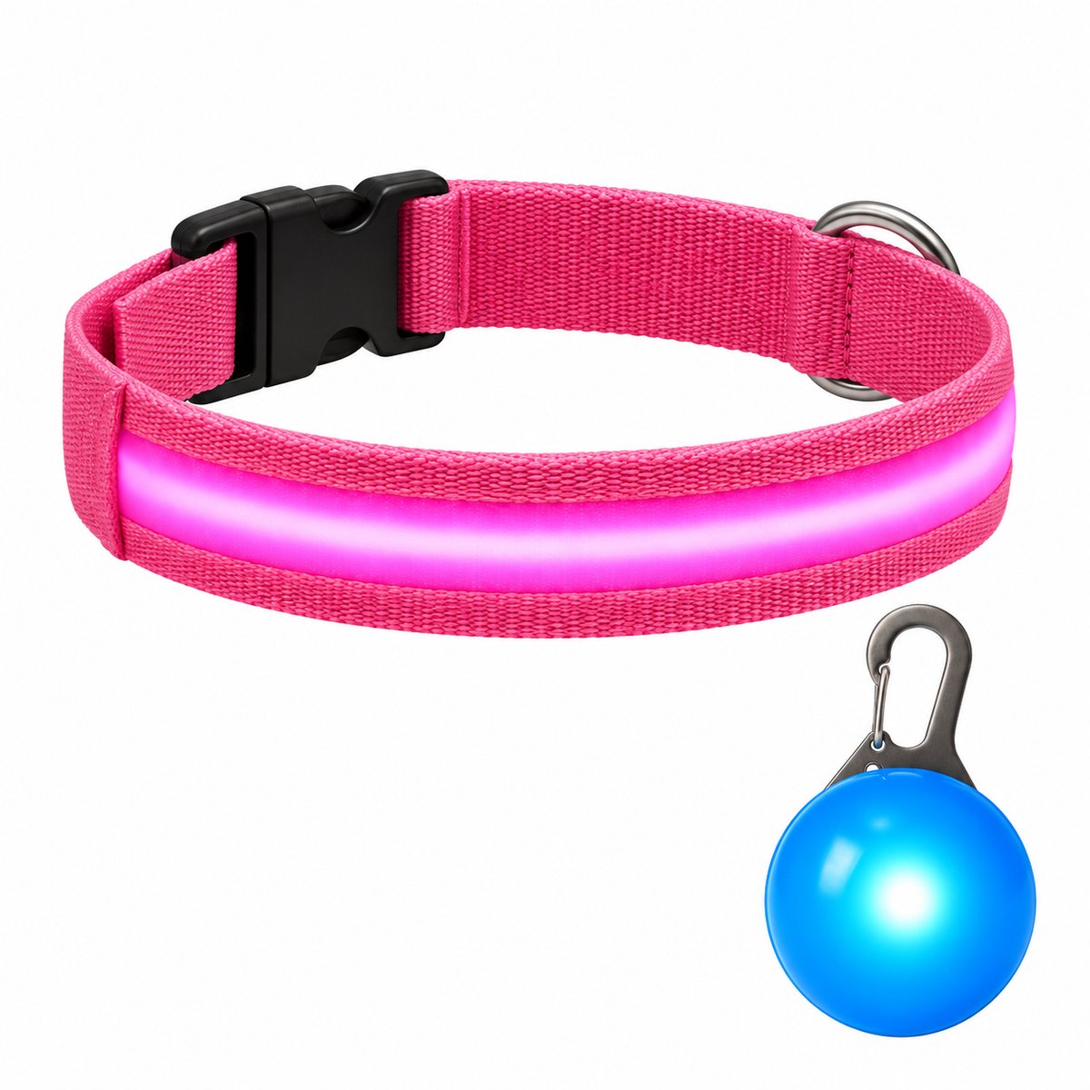 Professor Q LED Halsband Hond - Roze M (37–46 cm) - Blauw LED Lampje - Nylon USB Oplaadbaar