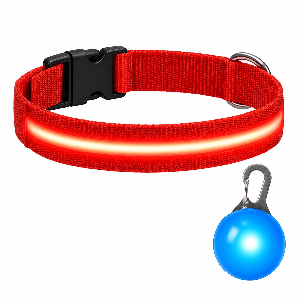 Professor Q LED Halsband Hond - Rood S (34–41 cm) - Blauw LED Lampje - Nylon USB Oplaadbaar