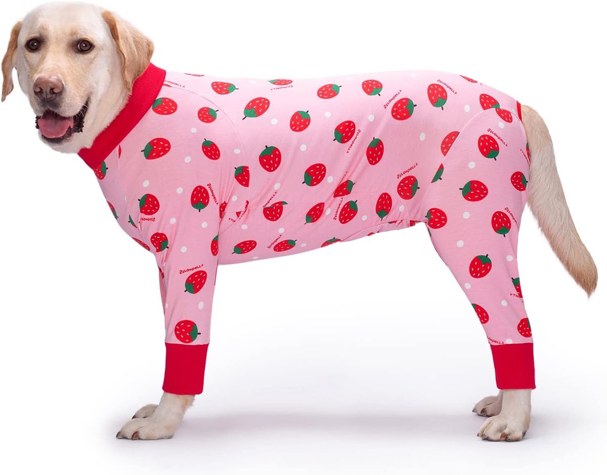Herstelpak voor honden na chirurgische ingreep, middelgrote/grote honden, teefjes/reuen, alternatief voor kegelvormige/elektrische kraag, onesie voor huisdieren, voorkomt likken (aardbei, 4XL)