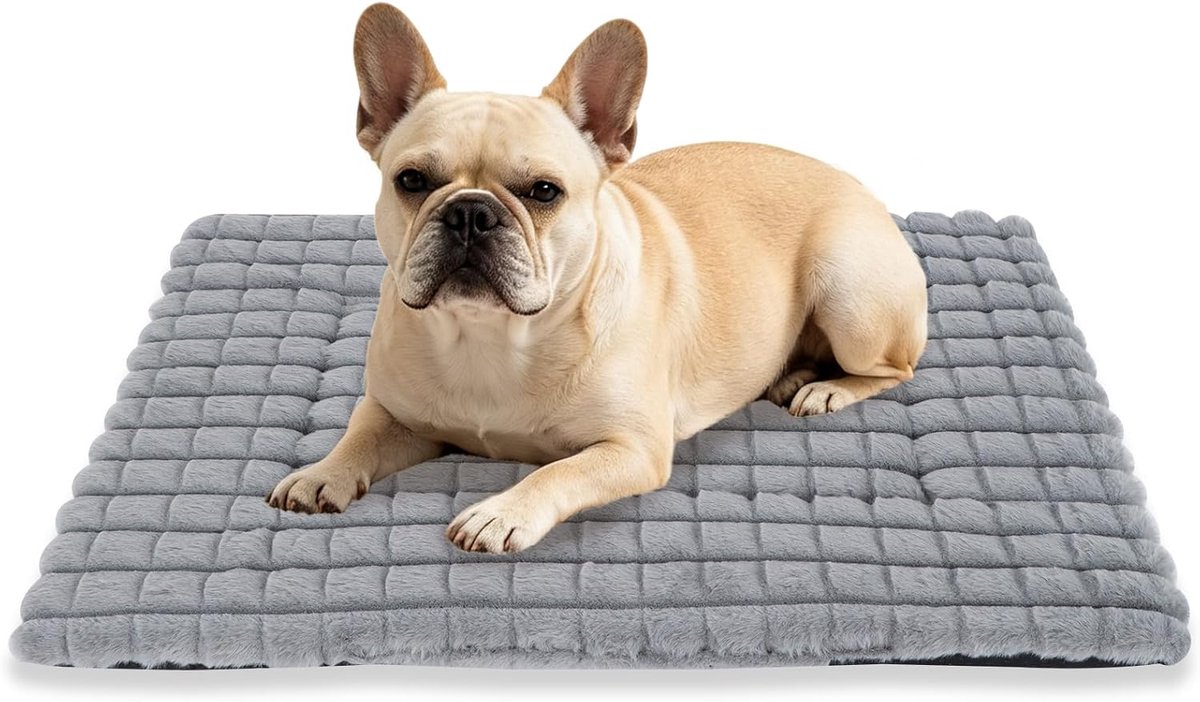 Orthopedisch hondenbed, pluizig, wasbaar, antislip onderkant, pluche kussen, zachte en warme mat voor kleine, middelgrote en grote honden, XH082 (90 x 60 cm, grijs)