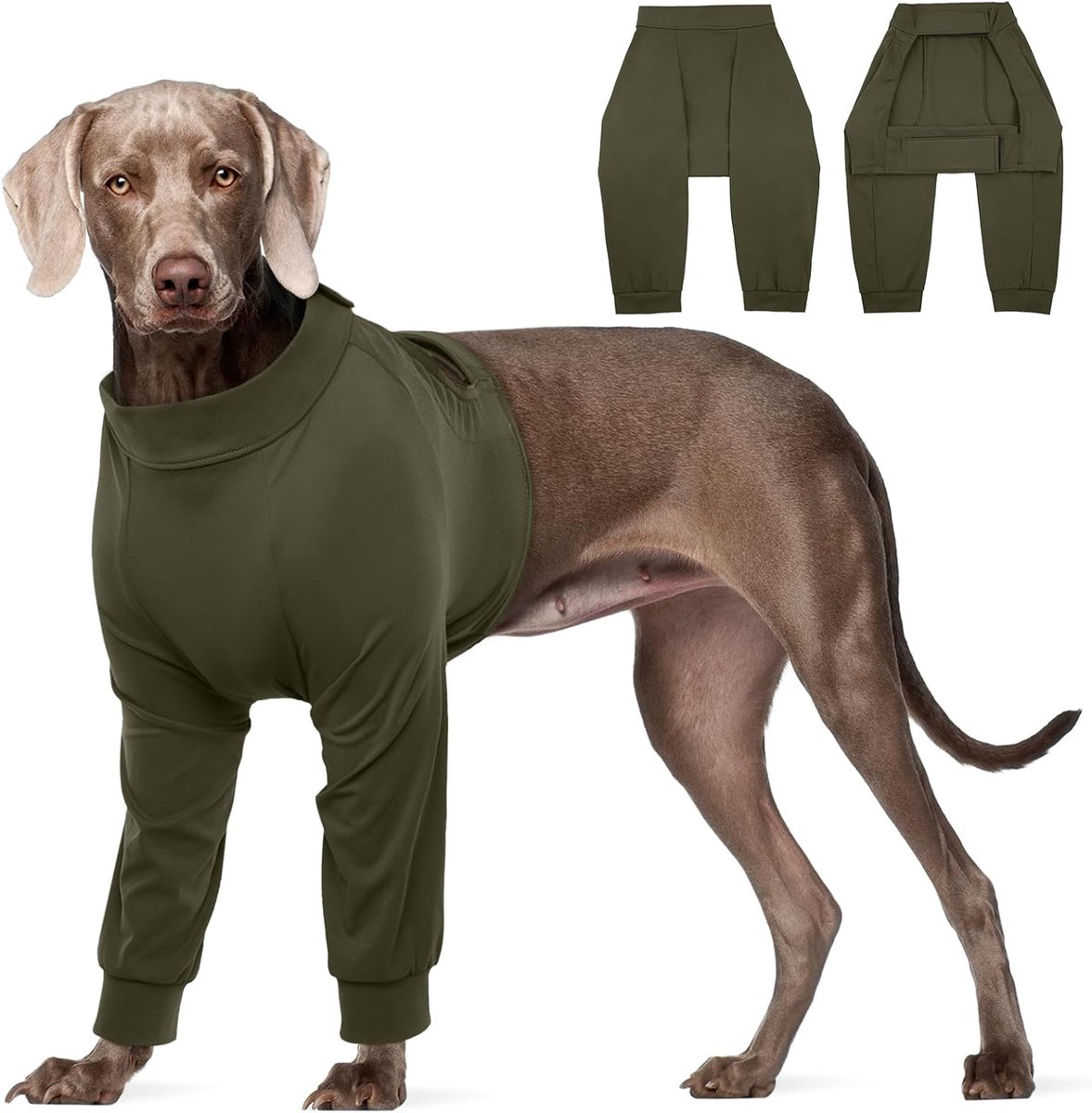 XXL Herstelpak voor honden, vrouwelijk, voorpoten, chirurgische herstelkleding, beenbrace, elleboogondersteuning, legergroen