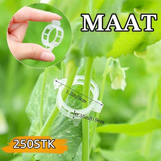 250 Stuks Tuinklemmen voor Tomaten, Planten en Wijnranken - Transparante Plastic Ring en Steunclips voor Planten — afbeelding 5