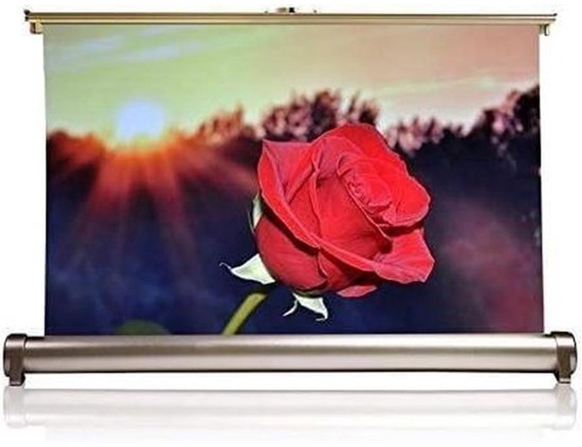 Projectiescherm - Draagbaar Scherm - Presentaties Geven - Wit Glasvezel - 20 Inch - Goud