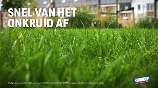 Roundup Onkruidvrij - bestrijdingsmiddel - Onkruid In Gazon - 1 kg Voor 50 m2 - Gazon Bemesten - Voordeelverpakking - Tegen Klaver, Paardenbloemen, Madeliefjes — afbeelding 2