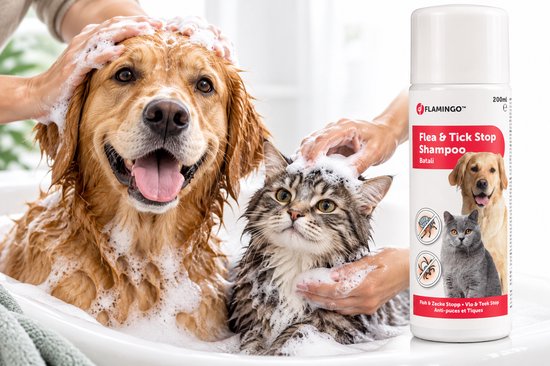 Fles Flamingo Batali shampoo naast een wassende hond en kat in een bad met schuim.