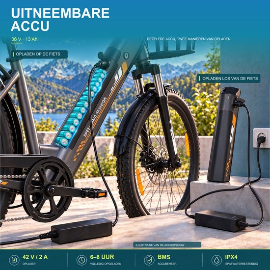 Runetic 26” Elektrische Fiets - Motor 250W - Actieradius 100km - 36V 13AH Verwijderbare Batterij - 25KM/H - Grijs — afbeelding 3