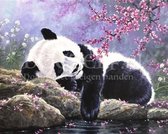 Diamond Painting Slapende panda 25x30cm. (Volledige bedekking - Ronde steentjes) diamondpainting inclusief tools