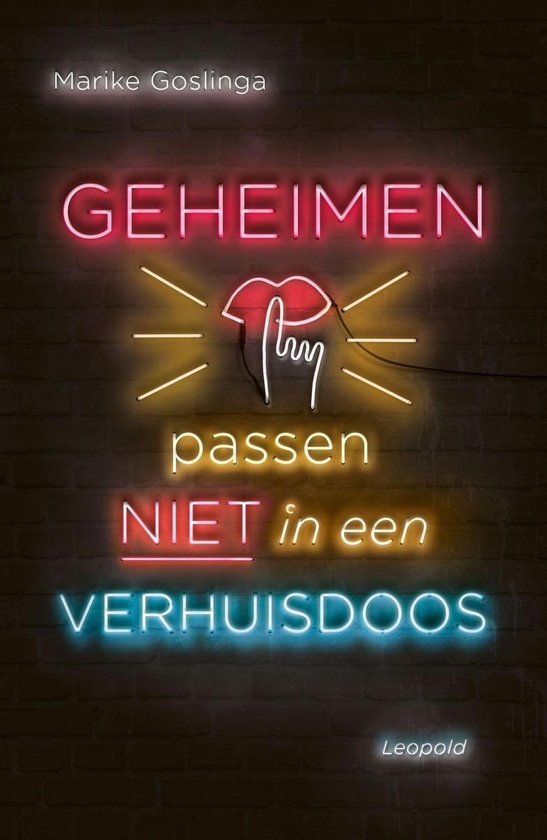 Geheimen passen niet in een verhuisdoos - cover