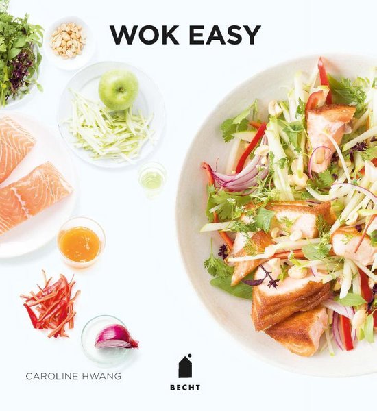 Bok met recepten voor wokgerechten, met op de voorpagina een gerecht met zalm en groenten.