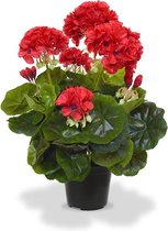 Geranium kunstplant 40 cm rood in pot