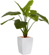 HTT - Kunstplant Philodendron in Genesis vierkant wit H140 cm