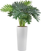 HTT - Kunstplant Philo Xanadu in Clou rond wit H110 cm