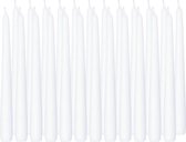 24x Witte dinerkaarsen 25 cm 8 branduren - Geurloze kaarsen - Tafelkaarsen/kandelaarkaarsen