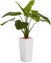 HTT - Kunstplant Philodendron in Clou vierkant wit H165 cm