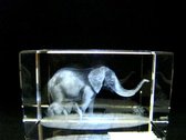 Glasblokje olifant met jong