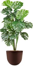 HTT - Kunstplant Monstera in Eggy bruin H130 cm