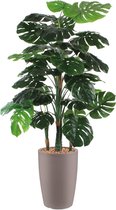 HTT - Kunstplant Monstera in Genesis rond taupe H160 cm