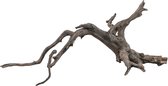 Sera Filigrane wortel Scaper Root M • 30 – 35 cm