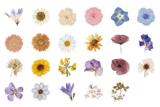 Set van 46 stickers - Bloemen 2 - Flower sticker