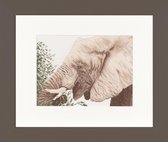 Kit de comptage éléphant mangeant - Lanarte - PN-0008193