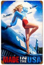 Made in the USA Pin-Up Zwaar Metalen Bord - Greg Hildebrandt