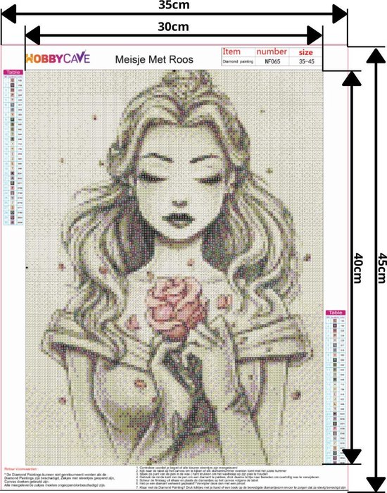 Diamond Painting Attrape Reve en Plumes 5D Lumineux Broderie Diamant DIY Broderie de Peinture