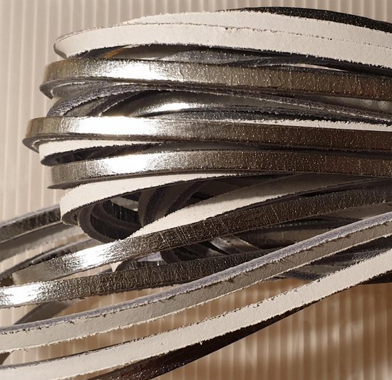 Leren veters 120cm lang met zilver kleurig folie geseald - Zilveren lederen veters