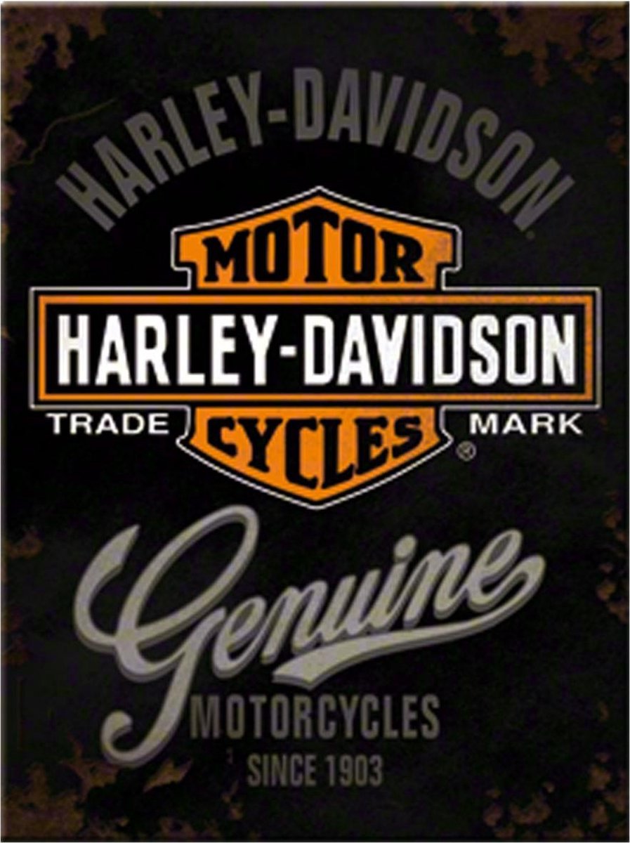 Harley-Davidson Genuine Magneet 6x8 cm