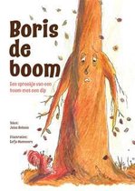 Boris de Boom