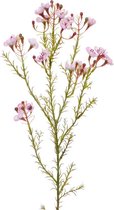 Waxflower kunsttak 65 cm roze