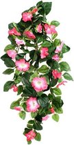 Hangpetunia Deluxe roze 80cm