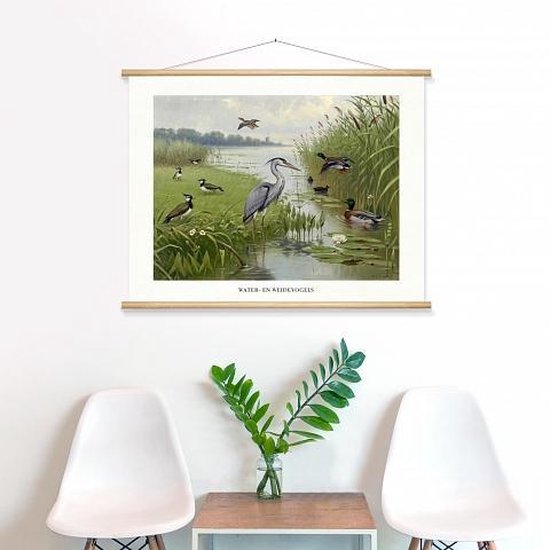Affiche scolaire 'Oiseaux d' Water et de prairie' par MA Koekkoek