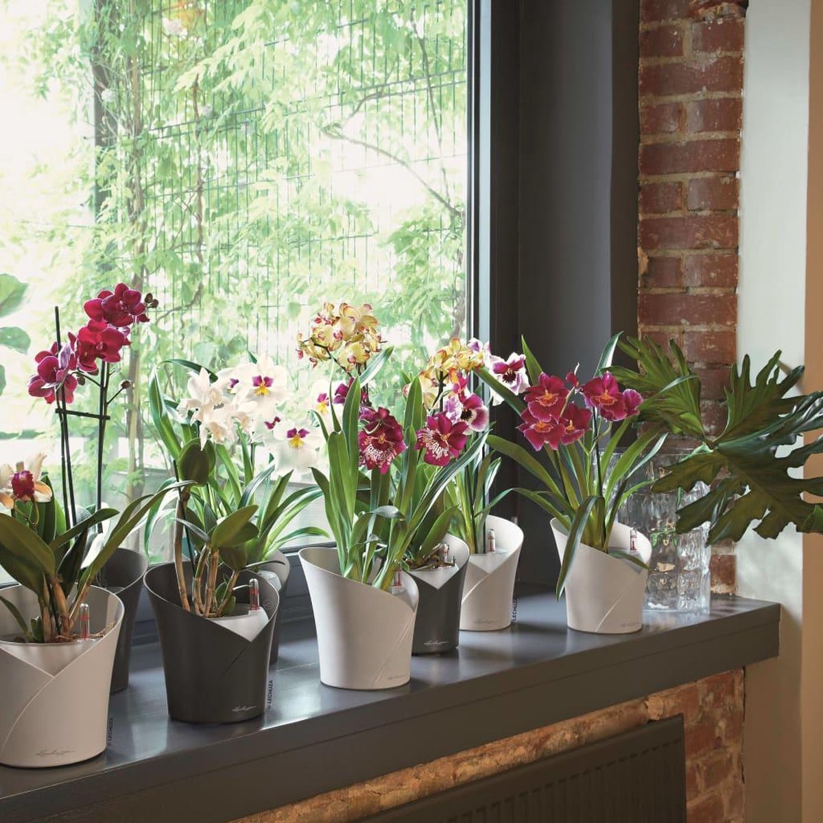 Orchidea Leisteengrijs Mat All-in-One Lechuza