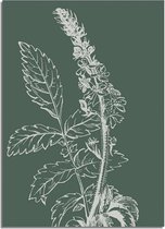 DesignClaud Vintage bloem blad poster - Groen - Puur Natuur Botanische poster A2 + Fotolijst wit