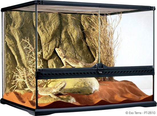Exo Terra Terrarium Glas incl achterwand Medium  - 60 x 45 x 45cm - Exo Terra