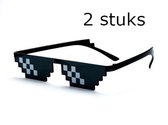 Thug Life bril - 2 stuks - Deal with it bril - 8 bits bril