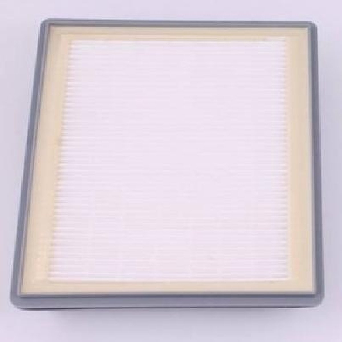Nilfisk Filter HEPA GM200, GM210, GM310, GM320, GM330, GM400, GM410 21983000