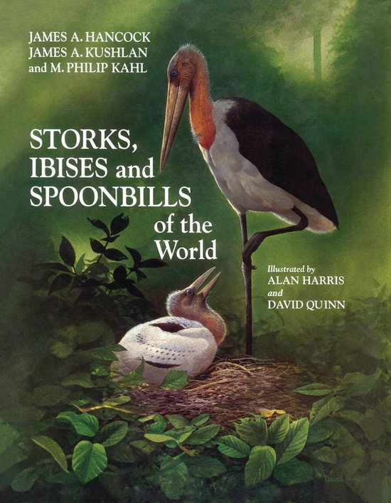Storks, Ibises and Spoonbills of the World - cover