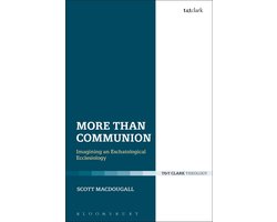 Ecclesiological Investigations - More Than Communion