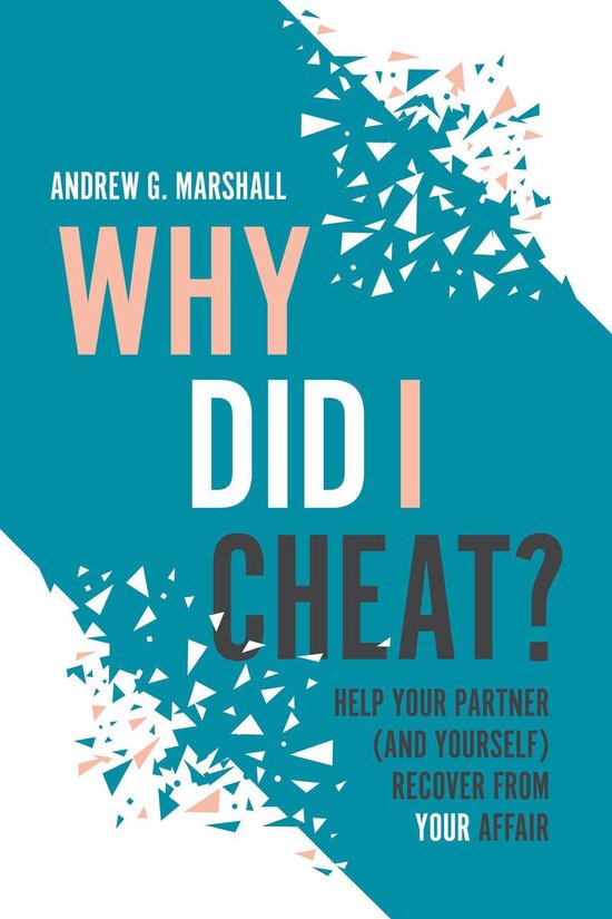 Why Did I Cheat? - cover