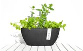 Ecopots Sofia ovaal donkergrijs 30 cm - planten/bloembak-pot