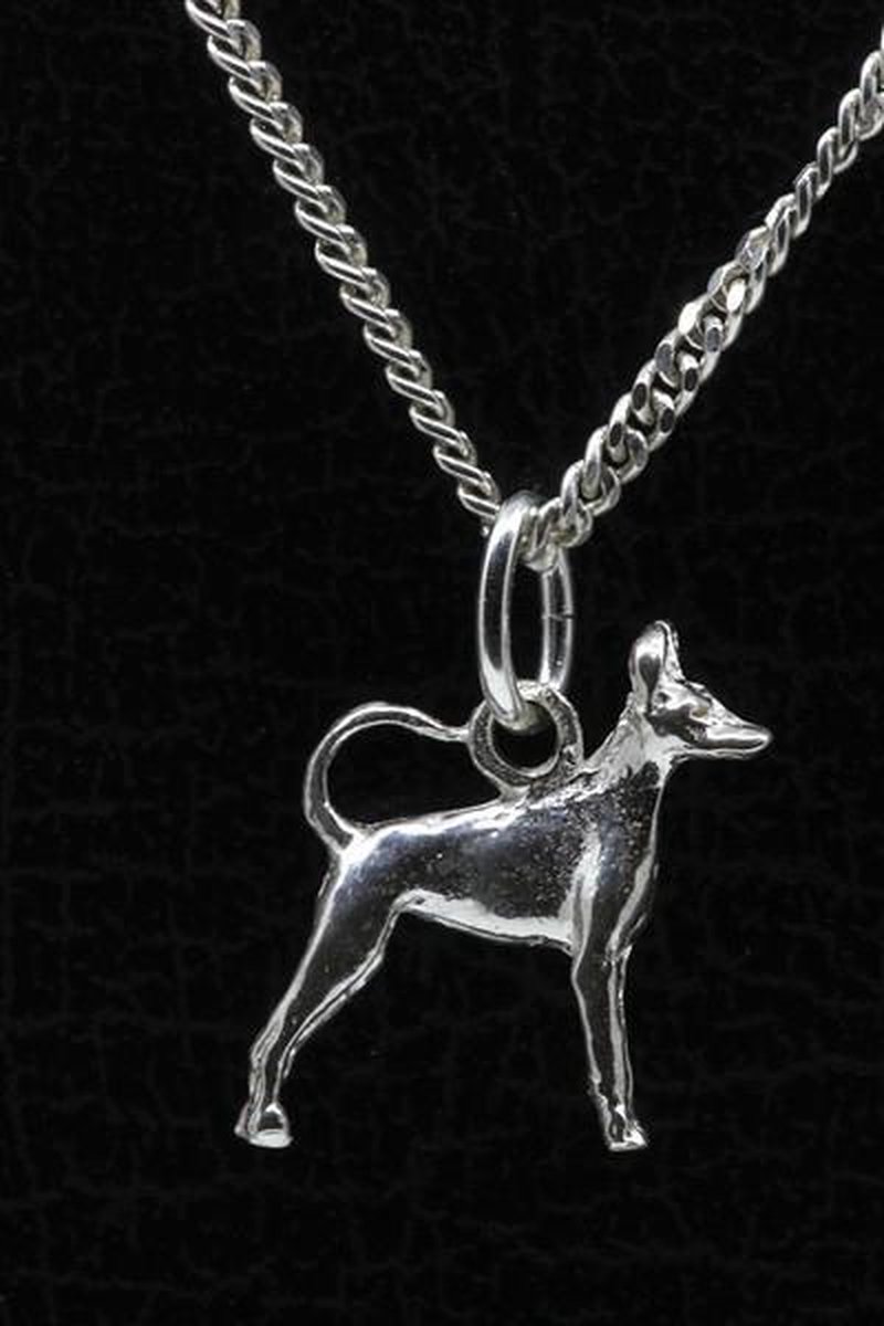 Zilveren Amerikaanse toy terrier met staart ketting hanger - klein