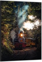 Dibond –Stoomtrein in Bossen– 80x120cm Foto op Aluminium (Wanddecoratie van metaal)