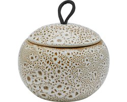 Aquanova Beautybox UGO Ginger-299